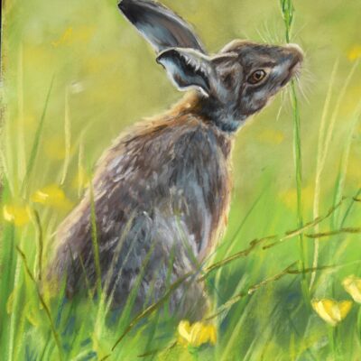 DSC_0001 - Copy (3) Hare in the Meadow, giclée print on paper
