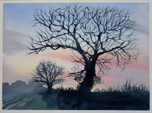 Oaks at Dusk, original watercolour