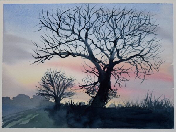 DSC_0002 Oaks at Dusk, original watercolour