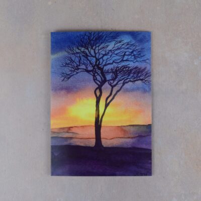 DSC_0003 Roundway Sunset