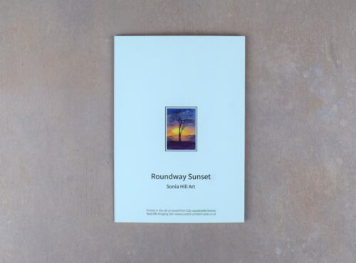 DSC_0004 Roundway Sunset