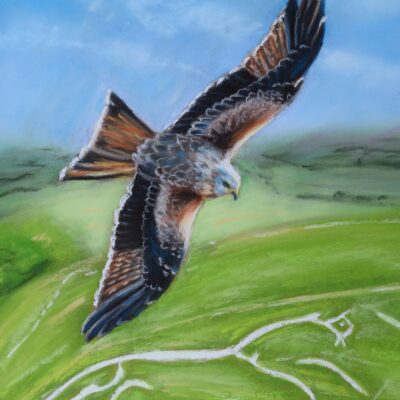 DSC_0008-1 Red Kite Over Uffington White Horse, giclée print on paper