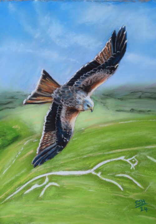 DSC_0008-1 Red Kite Over Uffington White Horse, giclée print on paper