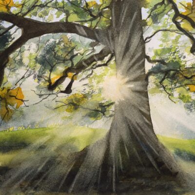 Autumn Rays, giclée print on paper