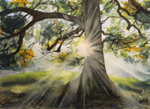 Autumn Rays, giclée print on paper
