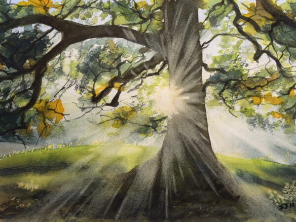 DSC_0008 Autumn Rays, giclée print on paper