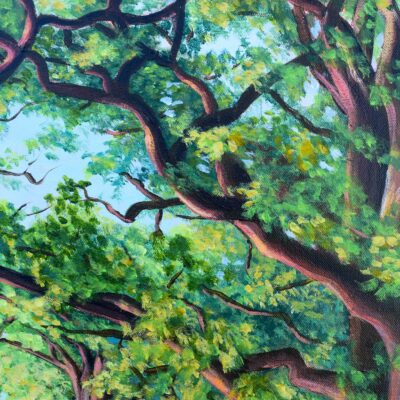 DSC_0021 Avenue of Oaks at Sunset, original acrylic on stretched canvas