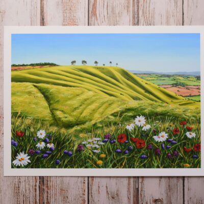 DSC_0024 Roundway Down with Meadow Flowers, giclée print on paper or stretched canvas