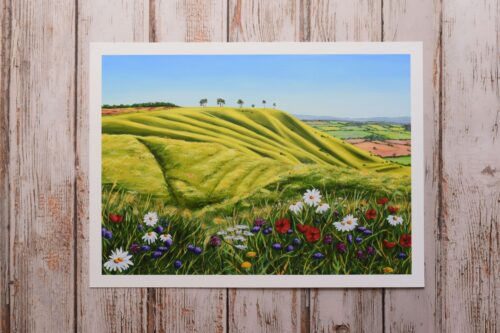 DSC_0024 Roundway Down with Meadow Flowers, giclée print on paper or stretched canvas