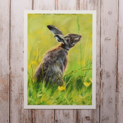 DSC_0025 Hare in the Meadow, giclée print on paper