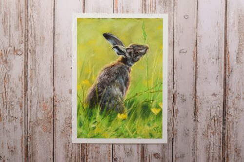 DSC_0025 Hare in the Meadow, giclée print on paper