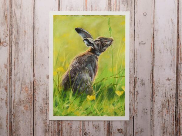 Hare in the Meadow, giclée print on paper