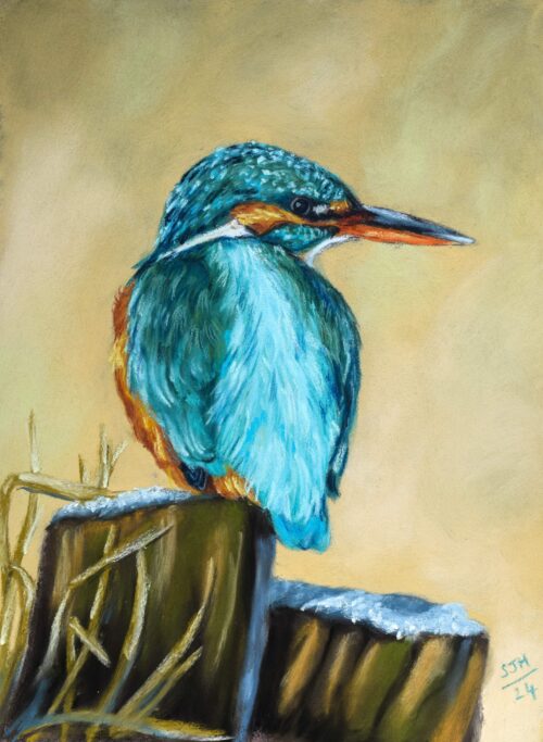 DSC_0028-1 Kingfisher in the Frost, giclée print on paper