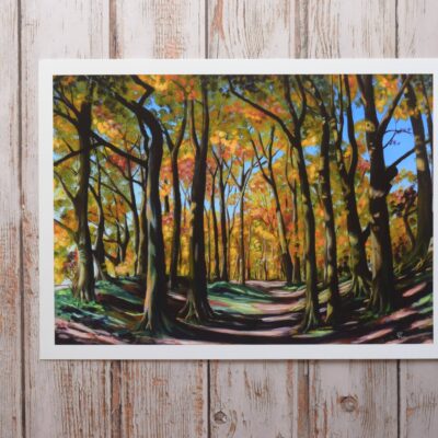DSC_0028 Knoll Down in Autumn, giclée print on paper or stretched canvas
