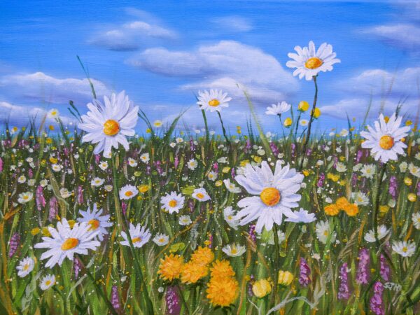 DSC_0030 Meadow Flowers, giclée print on paper or stretched canvas