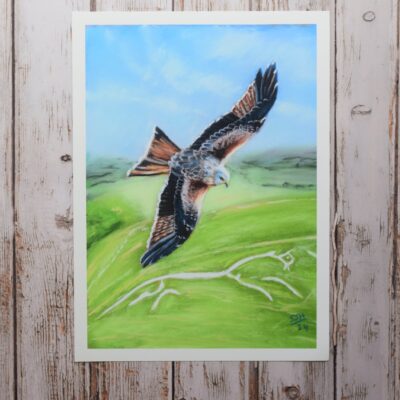 DSC_0030 Red Kite Over Uffington White Horse, giclée print on paper