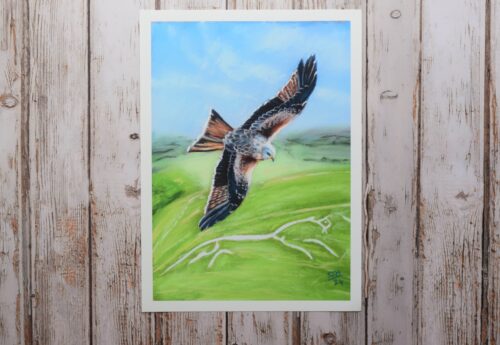 DSC_0030 Red Kite Over Uffington White Horse, giclée print on paper