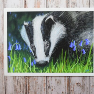 DSC_0031 Badger in the Bluebells, giclée print on paper