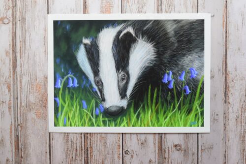 DSC_0031 Badger in the Bluebells, giclée print on paper