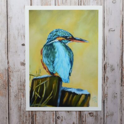DSC_0032 Kingfisher in the Frost, giclée print on paper