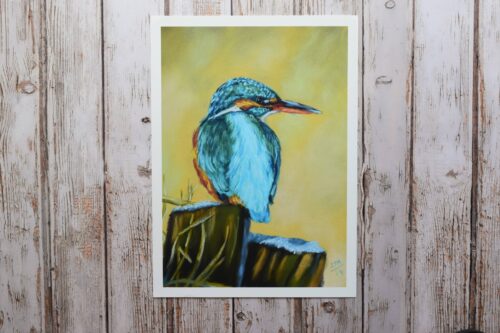 DSC_0032 Kingfisher in the Frost, giclée print on paper