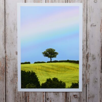 Lone Tree with Rainbow