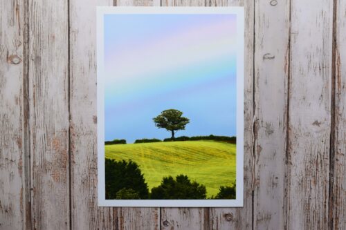 Lone Tree with Rainbow