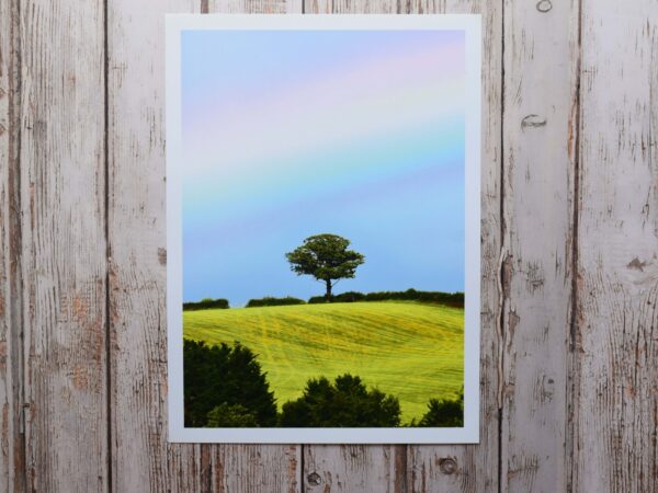 DSC_0034 Lone Tree with Rainbow