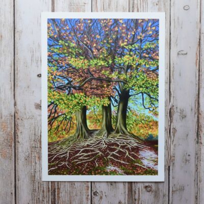DSC_0037 Avebury Beeches in Autumn, giclée print on paper or stretched canvas