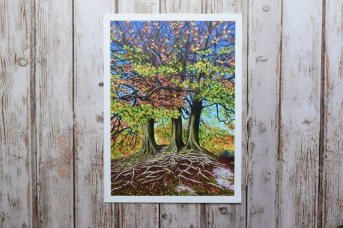 DSC_0037 Avebury Beeches in Autumn, giclée print on paper or stretched canvas