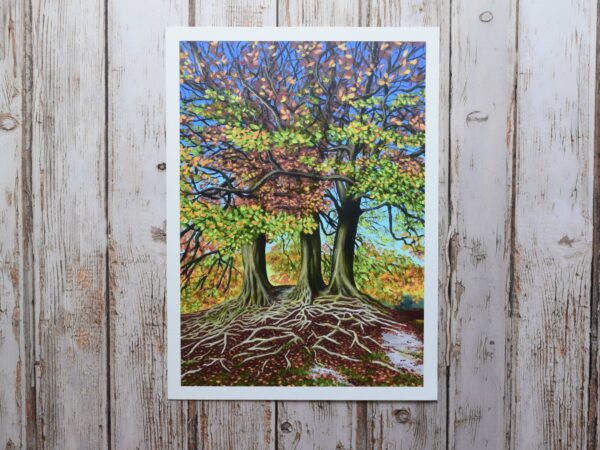 DSC_0037 Avebury Beeches in Autumn, giclée print on paper or stretched canvas