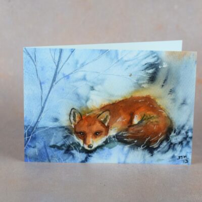 DSC_0047 Fox in the Frost