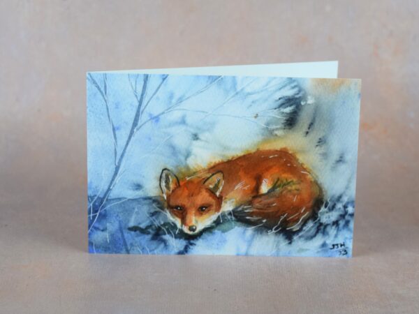 Fox in the Frost