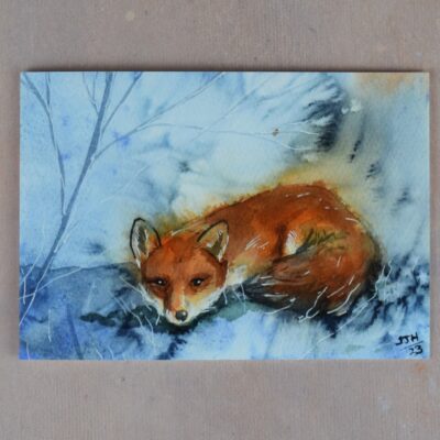 DSC_0049 Fox in the Frost