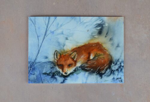 DSC_0049 Fox in the Frost