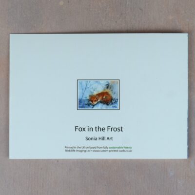 DSC_0050 Fox in the Frost