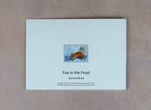 DSC_0050 Fox in the Frost