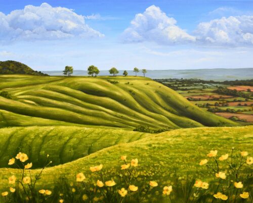 DSC_0061 Spring at Roundway Down, giclée print on paper or stretched canvas