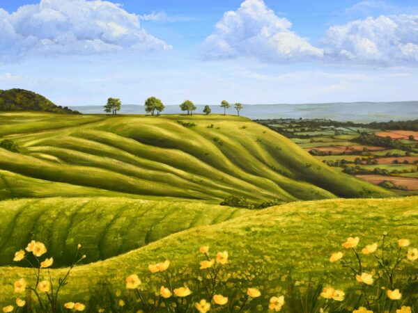 DSC_0061 Spring at Roundway Down, giclée print on paper or stretched canvas