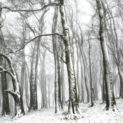 DSC_0102 Furze Knoll in the Snow