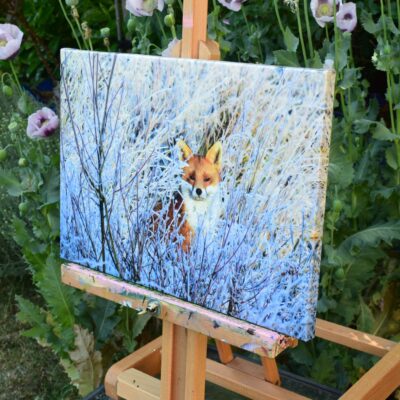DSC_0104 Fox on a Frosty Morning