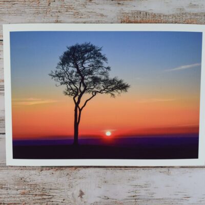 Oliver's Castle Sunset