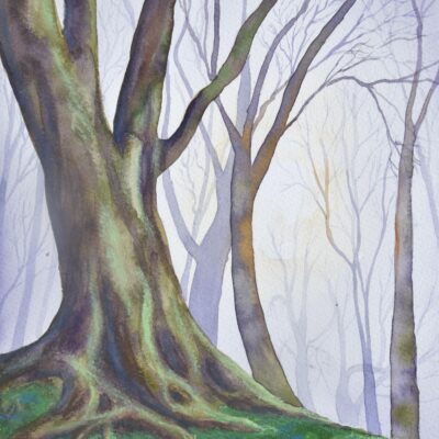DSC_0112 (2) Misty Trees, giclée print on paper