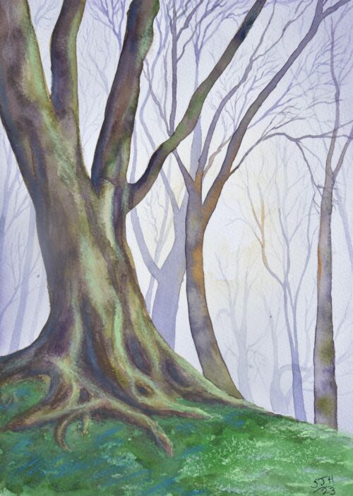 DSC_0112 (2) Misty Trees, giclée print on paper