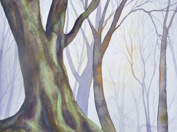 DSC_0112 (2) Misty Trees, giclée print on paper