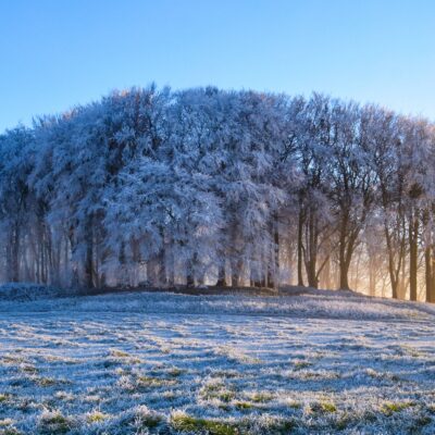 DSC_0131 Furze Knoll in the Frost and Mist
