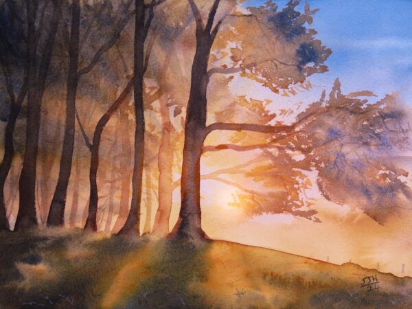 IMG_4532 Misty Sunset at Furze Knoll, giclée print on paper