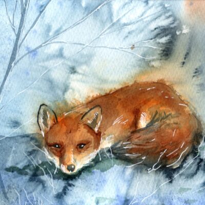 img20230630_15362216 Fox in the Frost, giclée print on paper