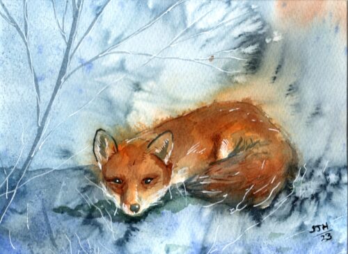 img20230630_15362216 Fox in the Frost, giclée print on paper