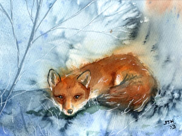 Fox in the Frost, giclée print on paper